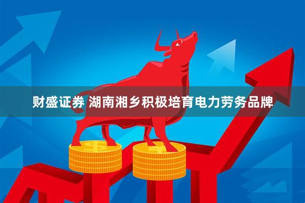 财盛证券 湖南湘乡积极培育电力劳务品牌