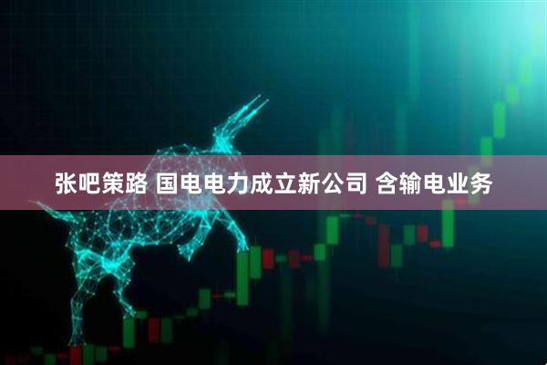 张吧策路 国电电力成立新公司 含输电业务